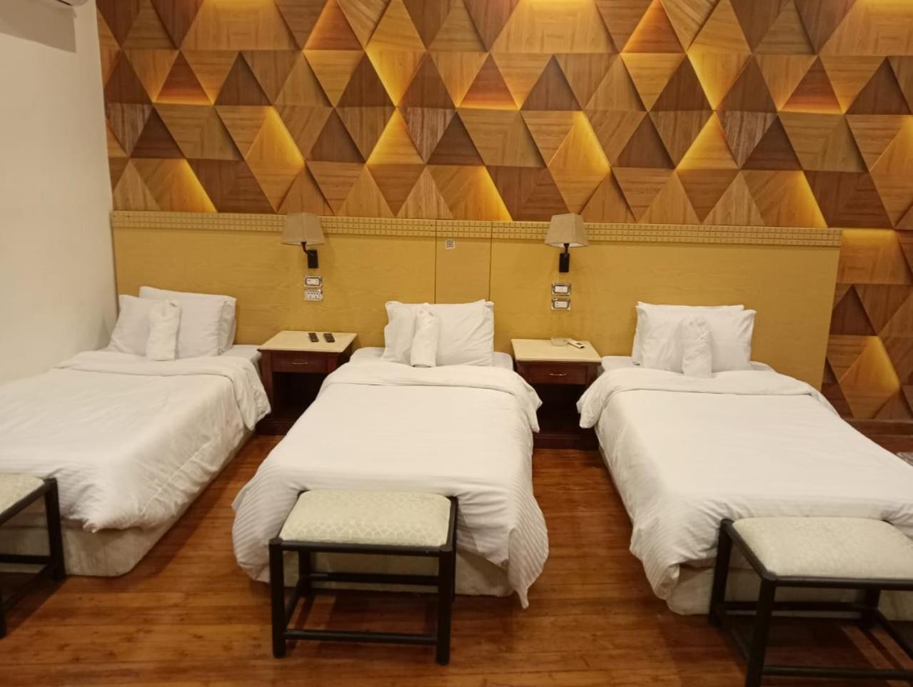 Pharoah'S Palace Hotel カイロ エクステリア 写真